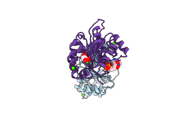 2GXS image