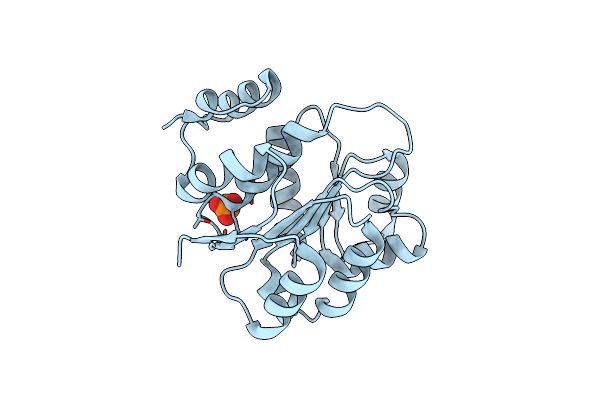2GXU image