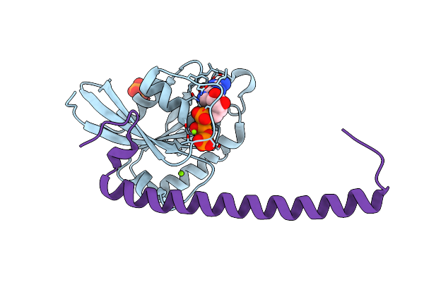 2GZH image