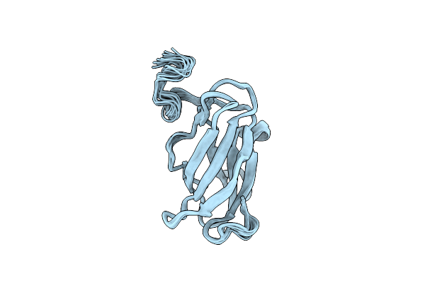2H0P image