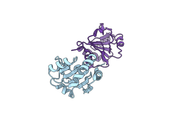 2H1G image