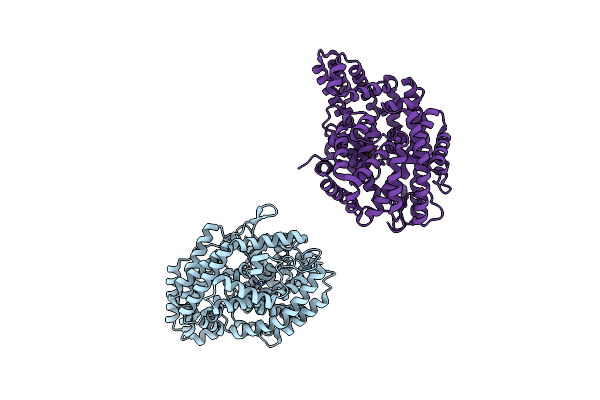 2H1N image