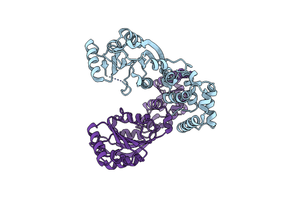 2H1R image