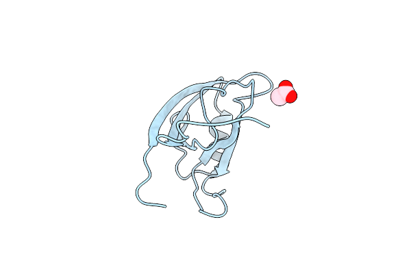 2H2B image