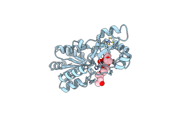 2H2I image