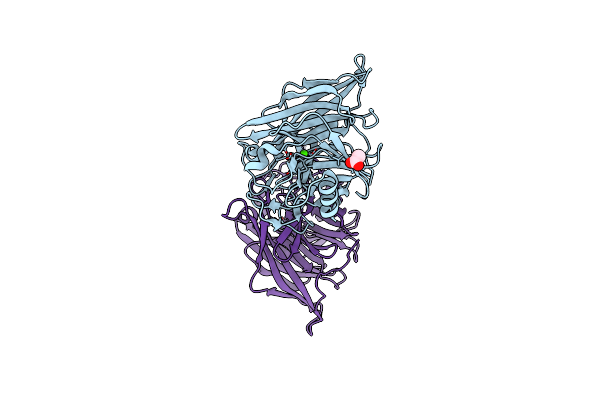 2H2N image