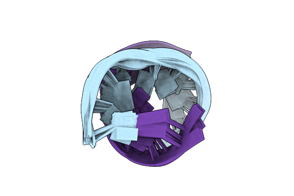 2H49 image