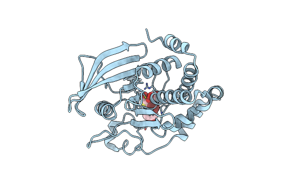 2H4G image