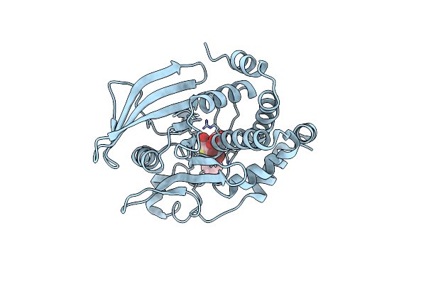 2H4K image