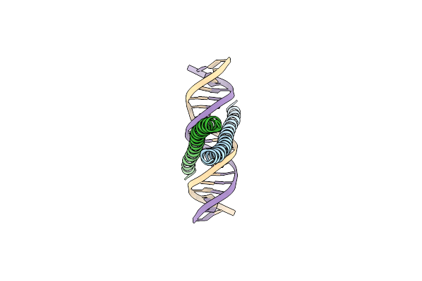 2H7H image