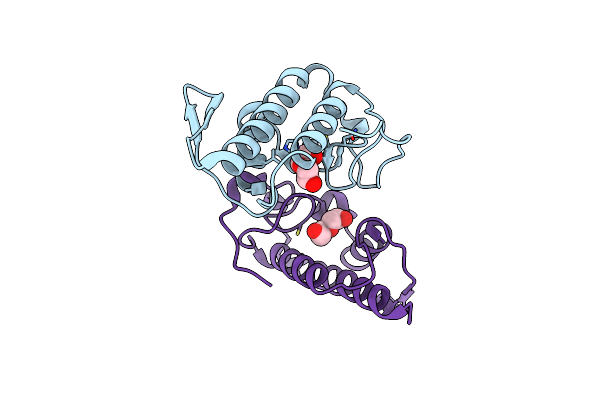 2H8I image
