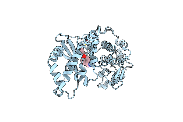 2H9V image