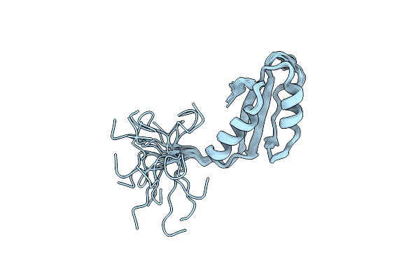 2H9Z image