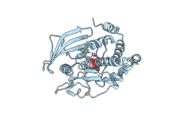 2HB1 image