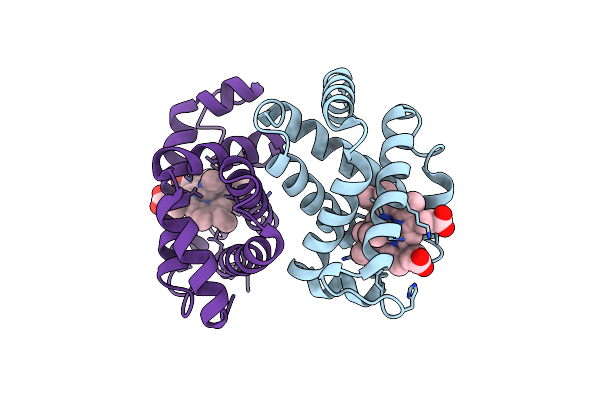 2HBC image