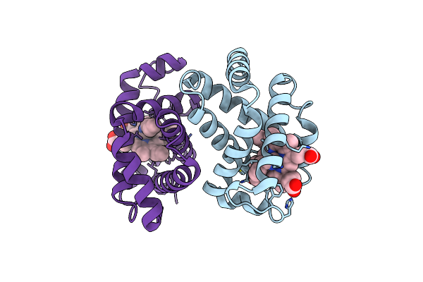 2HBE image