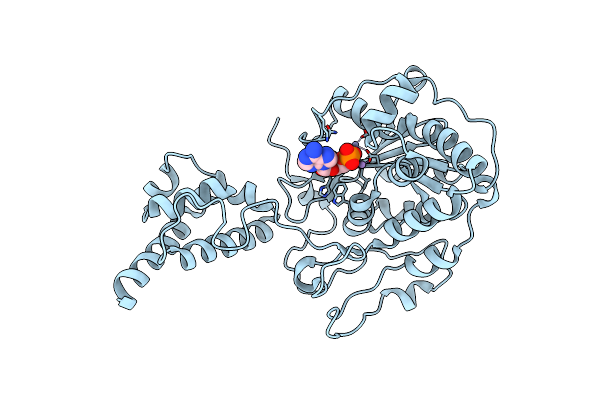2HBL image