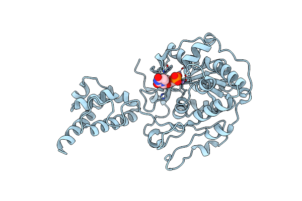 2HBM image