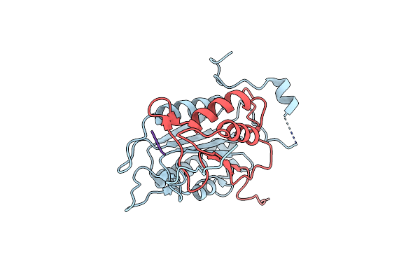 2HBR image