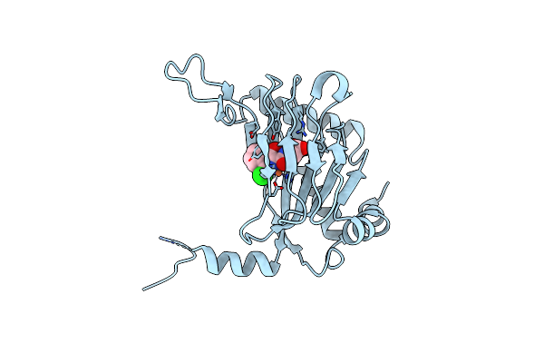 2HBT image