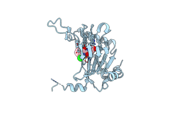 2HBU image