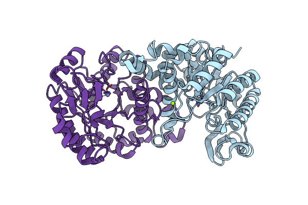 2HBV image