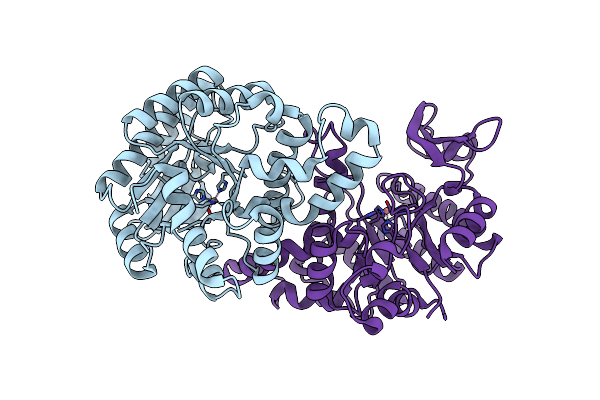 2HBX image