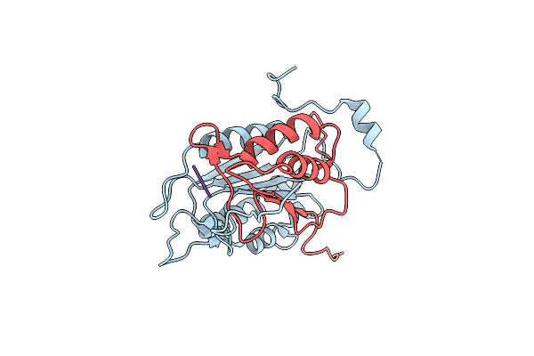 2HBY image