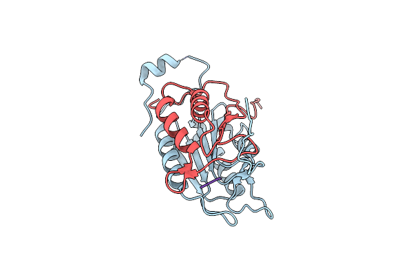 2HBZ image