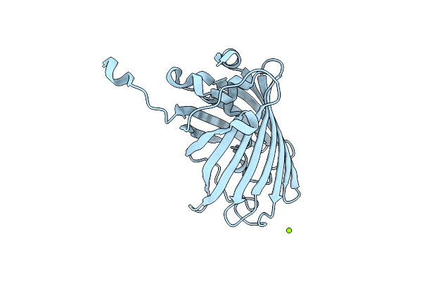 2HCG image