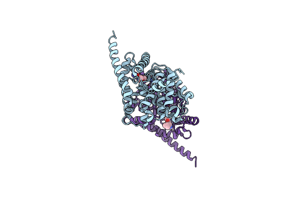 2HD1 image