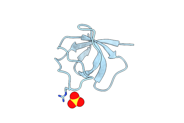 2HDA image