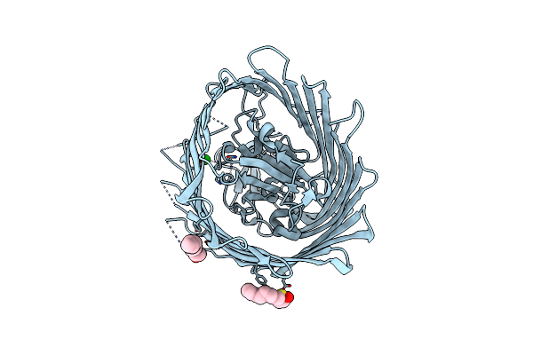 2HDF image