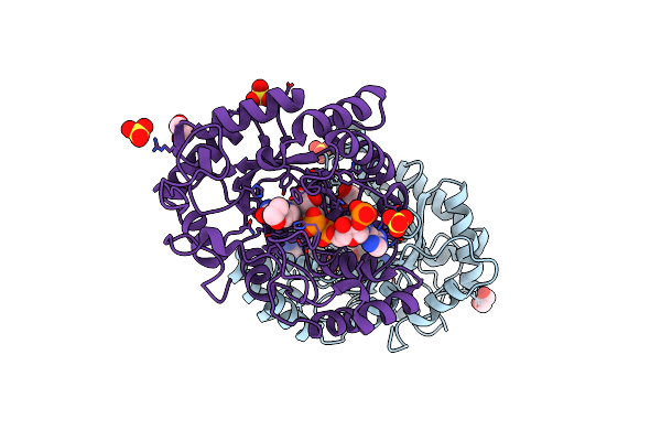 2HDJ image