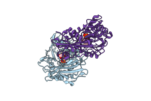 2HDK image