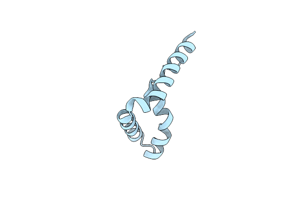 2HDZ image