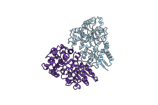 2HFB image