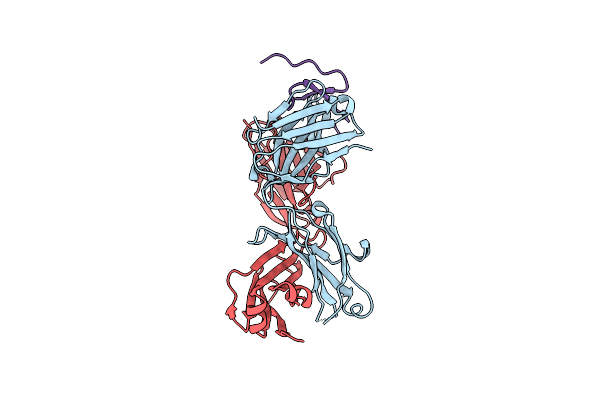 2HFG image