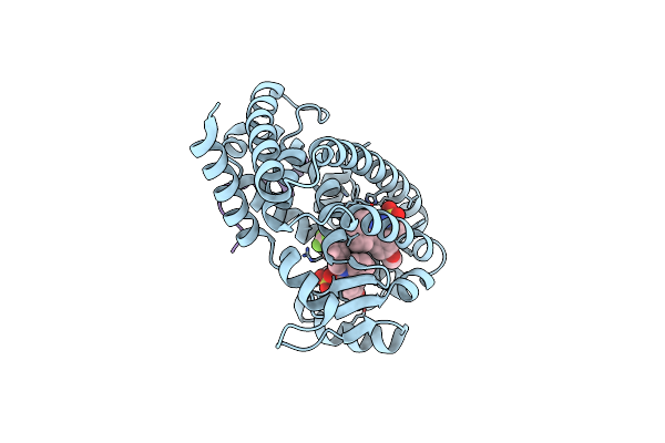 2HFP image