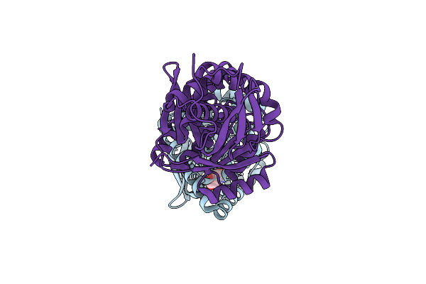 2HFU image