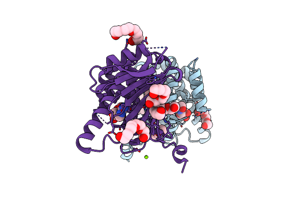 2HG1 image