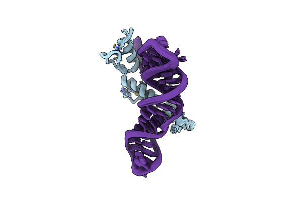 2HGH image