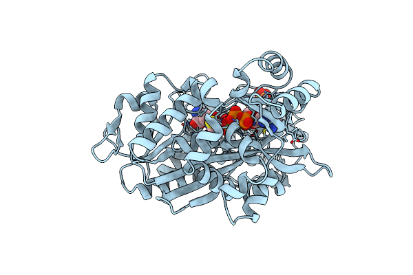 2HGS image