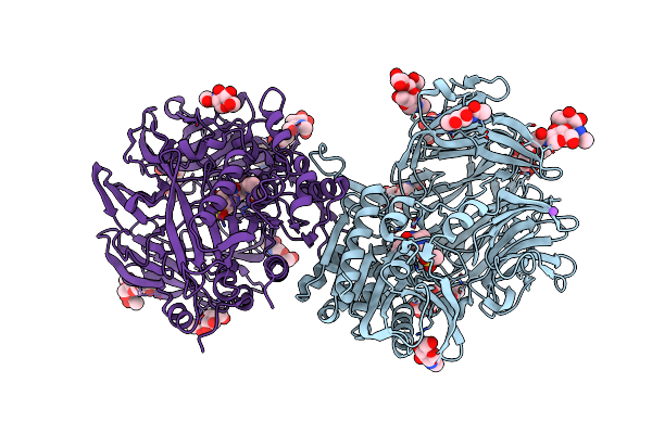 2HHA image