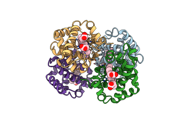 2HHB image