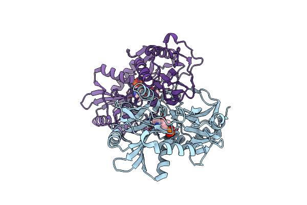2HHF image