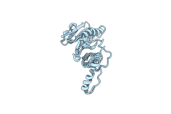 2HHI image