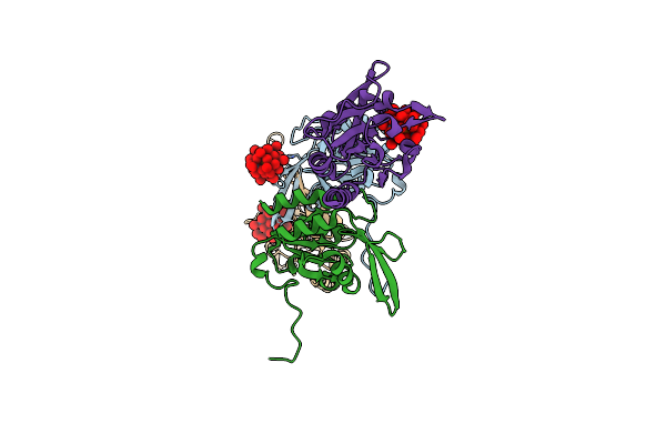 2HHL image