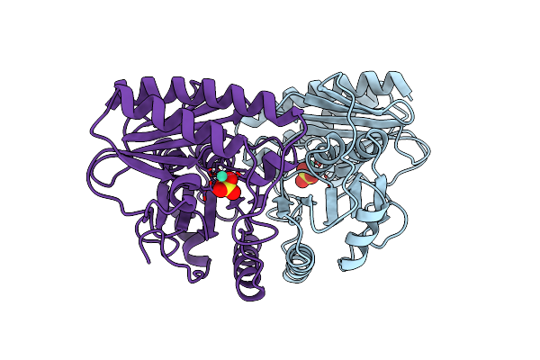 2HHM image