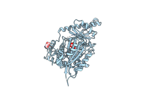 2HHP image